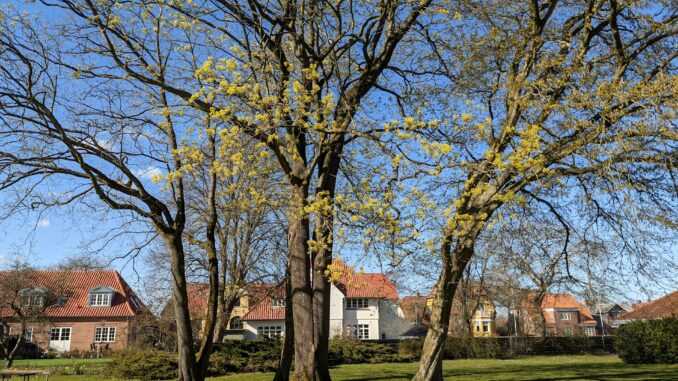 Naturskønne botilbud